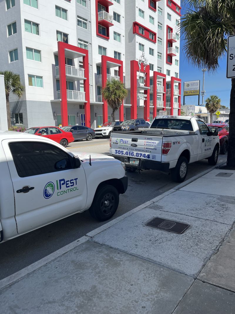 iPest Control technician carrying out a termite and WDO inspection
